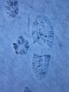 31Jan14 Footprint pawprint