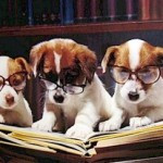 Helpful books for the dog parent Helpful books for the dog parent