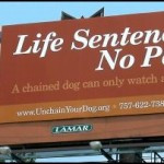 Dog tethering: The practice, the laws, and how you can help Dog tethering: The practice, the laws, and how you can help