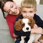 Dog expense assistance funds Dog expense assistance funds
