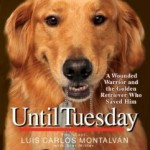 Golden Retriever “Tuesday” and a war hero help to save each other Golden Retriever “Tuesday” and a war hero help to save each other