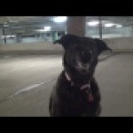 Shayna on a rainy night in parking garage Shayna on a rainy night in parking garage