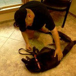 Update: Shayna’s recovery from surgery, and medical prognosis Update: Shayna’s recovery from surgery, and medical prognosis
