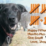 Happy “Fifteen-Months-Plus-One-Day”!!! Happy “Fifteen-Months-Plus-One-Day”!!!