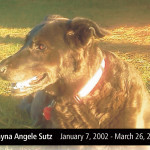 Shayna made her journey to Heaven on Wednesday, March 26, 2014 Shayna made her journey to Heaven on Wednesday, March 26, 2014